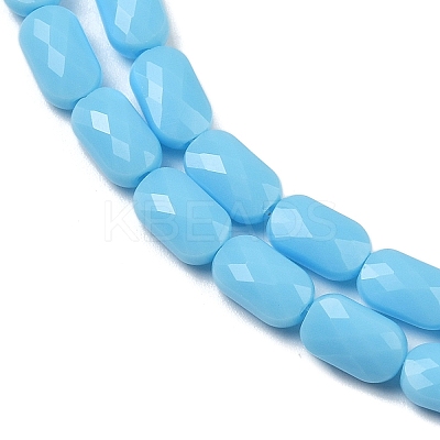 Opaque Glass Beads Strands GLAA-Z018-D20-1