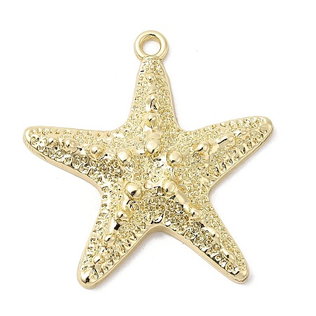 Alloy Big Pendants X-FIND-H055-13G-1