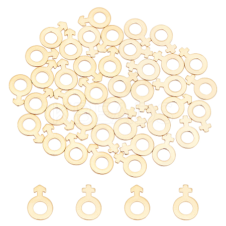 40Pcs 2 Style 304 Stainless Steel Charms STAS-UN0029-04-1