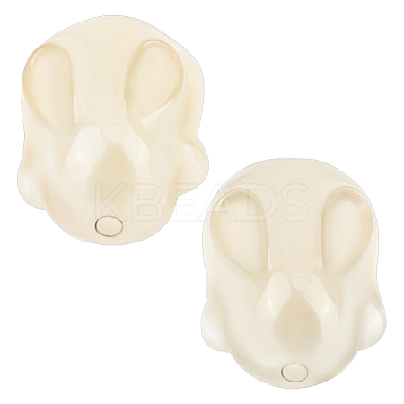 2Pcs Natural Agate Beads G-OC0005-60-1
