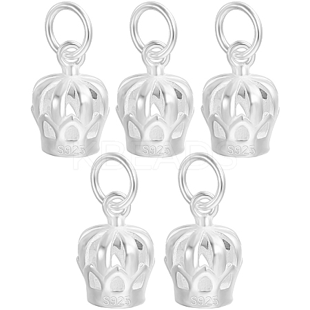 5Pcs 925 Sterling Silver Charms STER-BBC0002-19-1