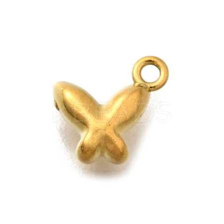 304 Stainless Steel Charms LS-STAS-D310-06G-04-1
