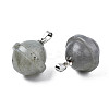 Natural Labradorite Pendants PORC-T132-053C-3