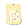 Ion Plating(IP) 304 Stainless Steel Pendants STAS-K216-49B-G-1