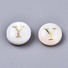 Natural Freshwater Shell Beads SHEL-S266-12Y-2
