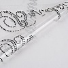 Hotfix Glass Rhinestone LS-DIY-WH0224-98-3
