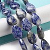 Natural Blue Spot Jasper Beads Strands G-P528-L17-01-2