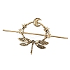 Alloy Hair Sticks PW-WG2AFDE-01-1