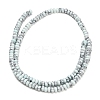 Synthetic Turquoise Beads Strands G-Z110-B01-2x4mm-01-3
