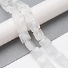 Natural Quartz Crystal Beads Strands G-K359-B01-01-2