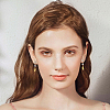 8Pcs 2 Size Sun Shape Brass Clear Cubic Zirconia Stud Earring Findings ZIRC-OC0001-09-7