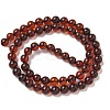 Natural Amber Beads Strands G-K387-D01-01-4