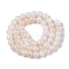 Electroplated Crackle Glass Beads Strands EGLA-N014-8mm-02-2