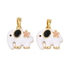 Brass Enamel Pendants KK-T001-04G-A-1