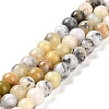 Natural African Opal Beads Strands G-B048-B03-01-1