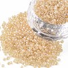 12/0 FGB Grade A Round Glass Seed Beads X-SEED-Q011-F504-1