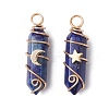 2Pcs 2 Styles Natural Lapis Lazuli Double Terminated Pointed Pendants PALLOY-JF03122-04-1