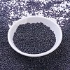 MIYUKI Round Rocailles Beads X-SEED-G007-RR0171-2