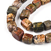 Natural Polychrome Jasper/Picasso Stone/Picasso Jasper Beads Strands G-T140-60A-3