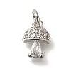 Brass Micro Pave Cubic Zirconia Charms KK-M295-21P-1