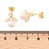 Horse Eye with Round Brass Micro Pave Clear Cubic Zirconia Stud Earrings EJEW-A135-27G-5