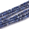 Natural Sodalite Beads Strands G-H230-10-1