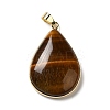 Natural Tiger Eye Pendants G-R486-03G-C-2