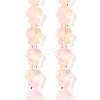 Transparent Glass Enamel Beads Strands GLAA-B021-06K-1