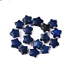 Dyed Natural Lapis Lazuli Dyed Beads Strands G-T138-190-2