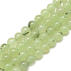 Natural Prehnite Beads Strands G-S300-118-8mm-1