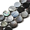 Natural Black Lip Shell Beads Strands BSHE-D300-05-14mm-1