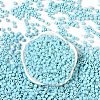 Opaque Acrylic Beads OACR-B025-06G-2