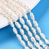 Natural Cultured Freshwater Pearl Beads Strands X-PEAR-N014-04H-1