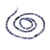 Natural Iolite Beads Strands G-I249-A04-2