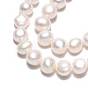 Natural Cultured Freshwater Pearl Beads Strands PEAR-N027-04B-4