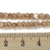 Natural White Shell Dyed Beads Strands BSHE-Z005-03A-4