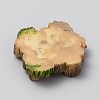 Mini Resin Display Decorations FIND-WH20019-71J-2