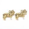 Tibetan Style Alloy Pendants LS-GLF9364Y-NF-2