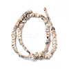 Natural Spiral Shell Beads Strands BSHE-G029-06-2