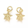 Electroplated Alloy Charms X-PALLOY-G267-09G-2
