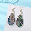 304 Stainless Steel Dangle Earrings EJEW-JE06944-1