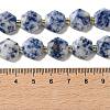Natural Blue Spot Jasper Beads Strands G-H344-B02-01-5