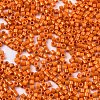 FGB 11/0 Grade A Baking Paint Glass Seed Beads X-SEED-S030-1028-2