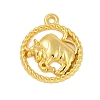 Twelve Constellations Alloy Pendants LS-PALLOY-Q006-01I-G-1