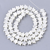Natural Trochid Shell/Trochus Shell Beads Strands SHEL-T013-007A-01-2