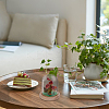 2Pcs 2 Styles Glass Dome Cover AJEW-NB0007-93-5