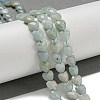 Natural Flower Amazonite Beads Strands G-P544-E13-01-2