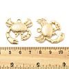 Brass Pendants KK-B134-09G-2