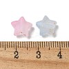 Frosted Acrylic Charms OACR-M023-04G-3