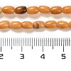 Natural Dolomite Beads Strands G-F765-A02-01-5